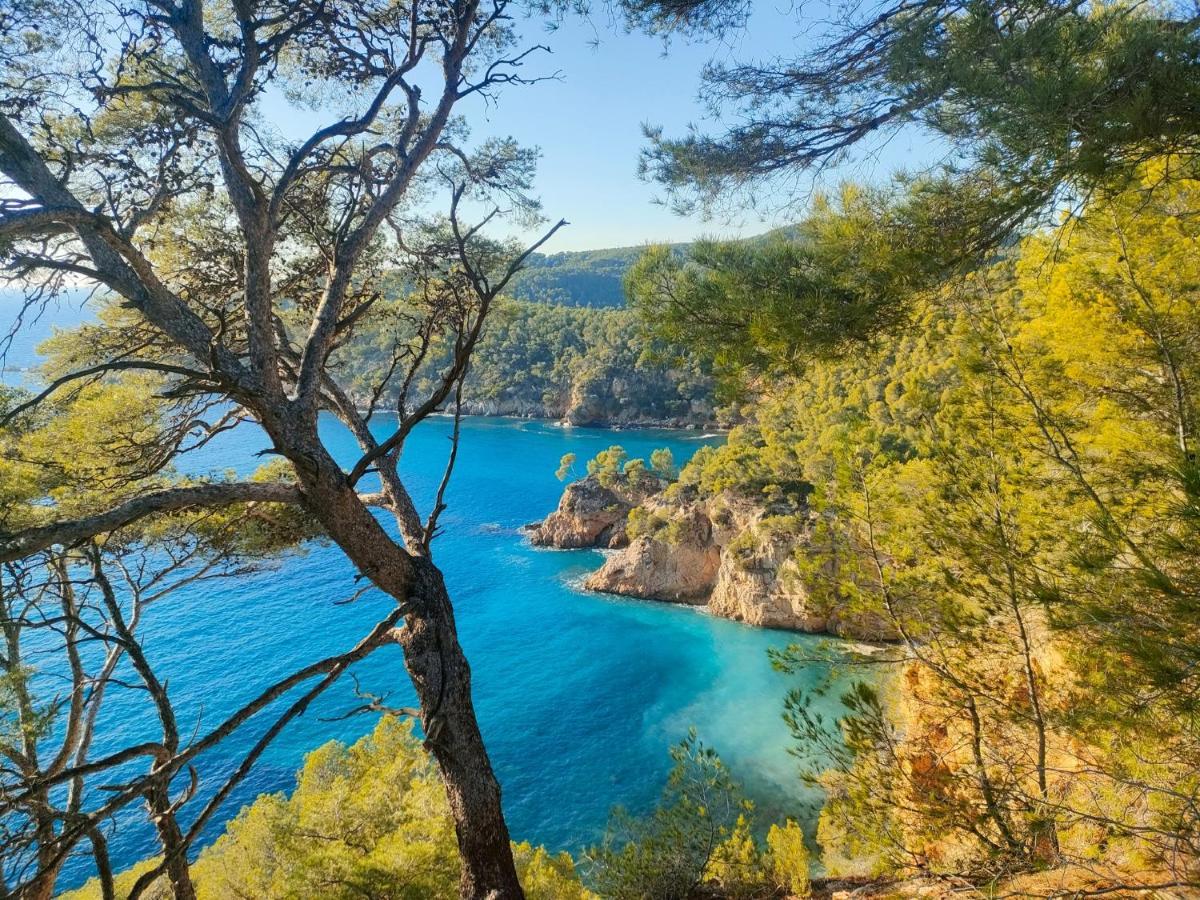 T3 Saint Cyr Sur Mer 83270 Exteriér fotografie